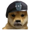 Perritos tácticos 🔥 26