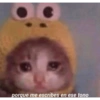 Memes para contestar 5 5