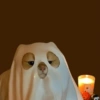 Cats on Halloween 8 👻🐱🕯️