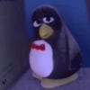 Bored penguin