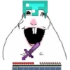 🐭🐀 Hamster 6 🐭🐀 17