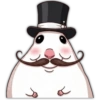 🐭🐀 Hamster 4 🐭🐀 21