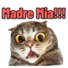 Expresiones, reacciones 17