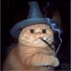 Cats on Halloween 11 🐱🧙🚬