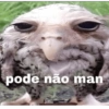CONTÉM IRONIA 18