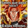 Goku 12