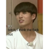 니다~ bitch, I think the fuck not