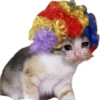 Gatos sad 2 21