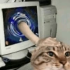 Tiktok memes  26