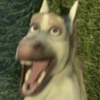 Burro do Shrek 5
