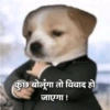 Veijoocally कुछ बोलूंगा तो विवाद हो जाएगा !