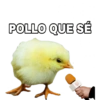 Inglés y animales 5