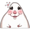 🐭🐀 Hamster 4 🐭🐀 15
