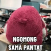 NGOMONG SAMA PANTAT