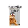 ENFERMERBROS🧑🏻‍⚕️🐱🐒 14