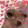 💖💞Love Reactions 3💞💖 27
