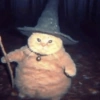 Wizard Cat
