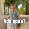 Dedek kamari 16