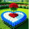 Amor 9