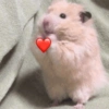 envia para o mozão | amor ❤️ 11 🐹