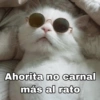 MASCOTAS @joshuacaprii 4