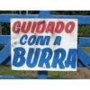 Só as irônicas  9