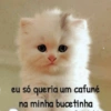 Flerte 7