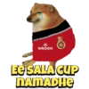 Cheems IPL 2021 10