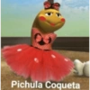 Pichula 7