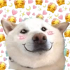 🐱🐾🐶 irl pets l 🐶🐾🐱 26