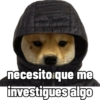 Perritos tácticos 🔥 29