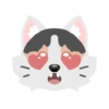 Pack de gatita graciosa 9