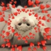 GATOS CHEIOS DE AMOR 💕 14