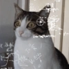 🫯🫪 WTF - OMG [Mood] 🫪🫯 2