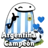 Argentina!Mundial Flork🇦🇷⚽ 7