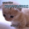 quero falar sapecagens @macintosh 1984 com vc