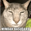 Windah sticker (2) by @fivclip 29