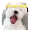 to com sono