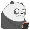 Panda Escandalosos :3 9