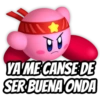 Kirby 29