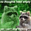 🐼🗑🦝 Raccoons l 🦝 🗑 🐼  29
