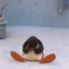 Pingu 6