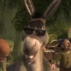 Shrek's donkey  8