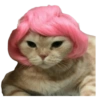Gatos Sad 8
