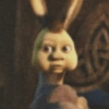 Burro do Shrek 19