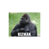 Goril 8