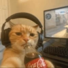 🙀 GATITOS MOODS 😽 12 🎮😺