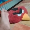 Angry birds👂💎Memes🔥 2