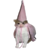 Gatos Sad 28