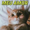 REAÇÕES E IRONIA😂 10